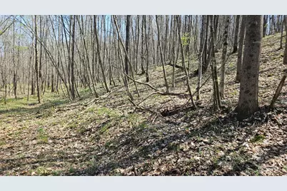 0 Spruce Hollow Road, Madison Township, OH 45653 - Photo 16