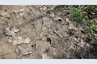 0 Spruce Hollow Road, Madison Township, OH 45653 - Photo 4