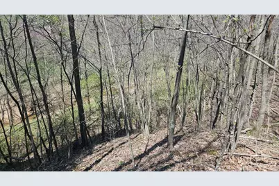 0 Spruce Hollow Road, Madison Township, OH 45653 - Photo 44