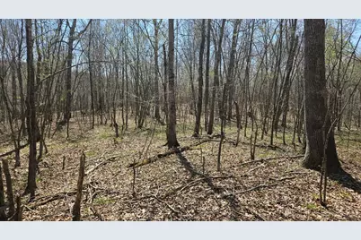 0 Spruce Hollow Road, Madison Township, OH 45653 - Photo 24