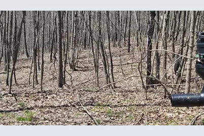 0 Spruce Hollow Road, Madison Township, OH 45653 - Photo 34