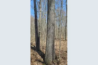 0 Spruce Hollow Road, Madison Township, OH 45653 - Photo 28