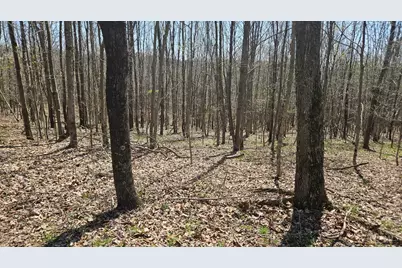0 Spruce Hollow Road, Madison Township, OH 45653 - Photo 18