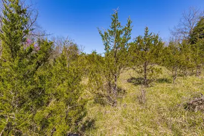 1169 Horner Chapel Road, Peebles, OH 45660 - Photo 20