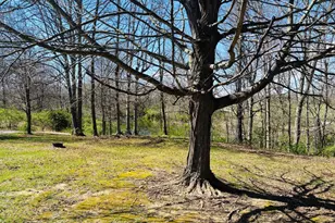 6118 Riley Pike, Franklin Twp,  47012 - Photo 56