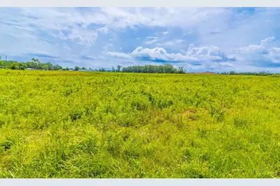 2 Dorsey Road, Winchester, OH 45697 - Photo 6