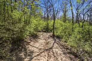 6453 Strout Rd, Washington Township, OH 45152 - Photo 34