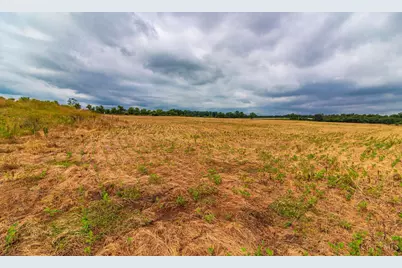 0 Dorsey Road, Winchester, OH 45697 - Photo 4