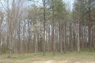 1505 Newland Ridge Rd, Peeble Twp, OH 45690 - Photo 26