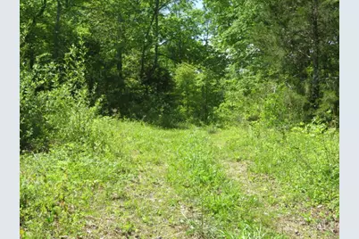 1505 Newland Ridge Road, Peeble Twp, OH 45690 - Photo 32