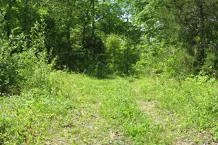 1505 Newland Ridge Rd, Peeble Twp, OH 45690 - Photo 32