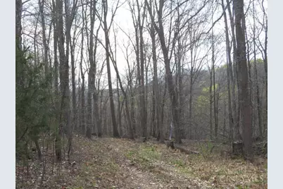 1505 Newland Ridge Road, Peeble Twp, OH 45690 - Photo 30
