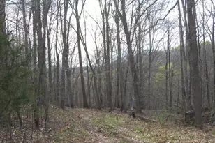1505 Newland Ridge Rd, Peeble Twp, OH 45690 - Photo 30