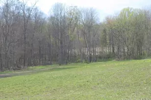 1505 Newland Ridge Rd, Peeble Twp, OH 45690 - Photo 32