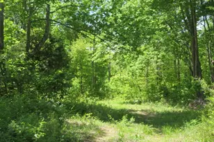 1505 Newland Ridge Rd, Peeble Twp, OH 45690 - Photo 30