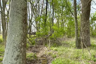 11732 Martin-Alexander Rd, Eagle Township, OH 45171 - Photo 84