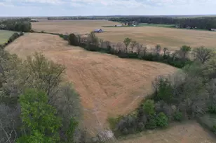 11732 Martin-Alexander Rd, Eagle Township, OH 45171 - Photo 52