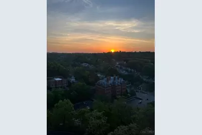 3435 Golden Avenue #1001, Cincinnati, OH 45226 - Photo 52