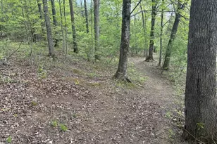 1000 Locust Rd, Jackson Twp, OH 45133 - Photo 28