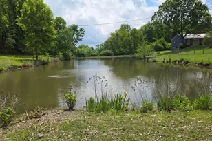 2313 St Rt 131, Stonelick Township, OH 45122 - Photo 28