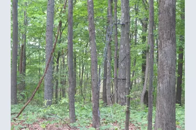 24650 US Route 52, Stout, OH 45684 - Photo 62
