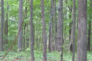 24650 US Route 52, Stout, OH 45684 - Photo 62