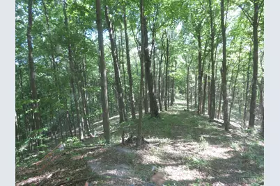 24650 US Route 52, Stout, OH 45684 - Photo 74