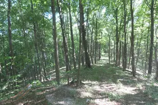 24650 US Route 52, Stout, OH 45684 - Photo 74