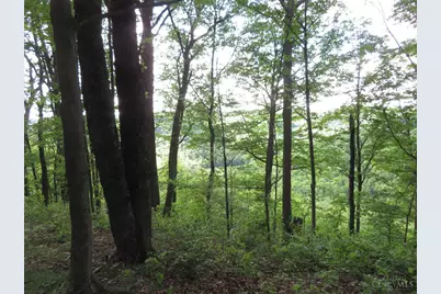 24650 US Route 52, Stout, OH 45684 - Photo 64