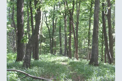24650 US Route 52, Stout, OH 45684 - Photo 72