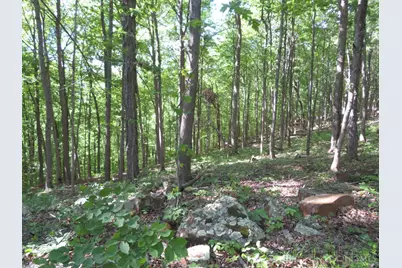 24650 US Route 52, Stout, OH 45684 - Photo 76