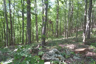 24650 US Route 52, Stout, OH 45684 - Photo 76