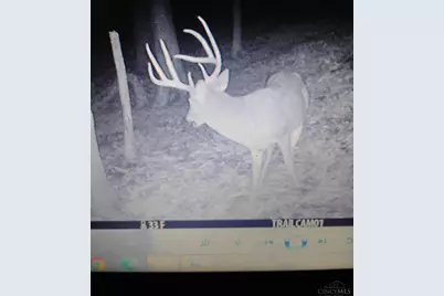 24650 US Route 52, Stout, OH 45684 - Photo 88