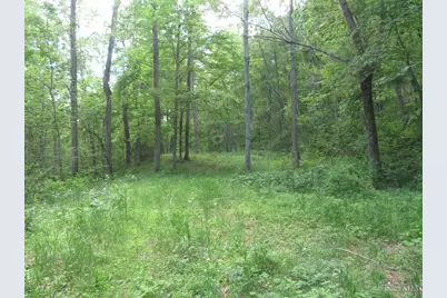 24650 US Route 52, Stout, OH 45684 - Photo 58