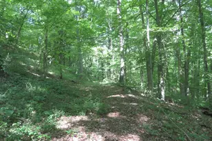 24650 US Route 52, Stout, OH 45684 - Photo 50