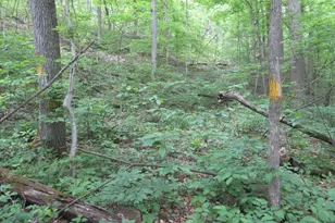 24650 US Route 52, Stout, OH 45684 - Photo 56