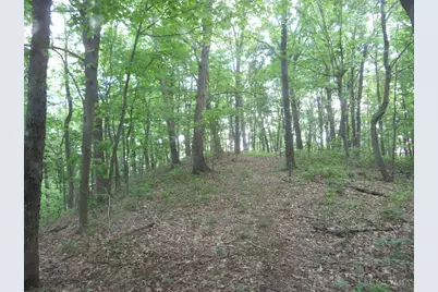 24650 US Route 52, Stout, OH 45684 - Photo 60