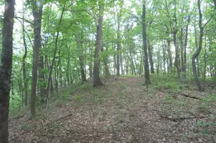 24650 US Route 52, Stout, OH 45684 - Photo 60