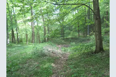 24650 US Route 52, Stout, OH 45684 - Photo 66