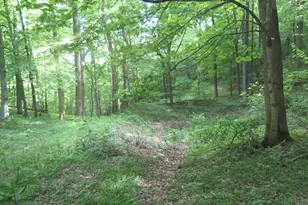 24650 US Route 52, Stout, OH 45684 - Photo 66
