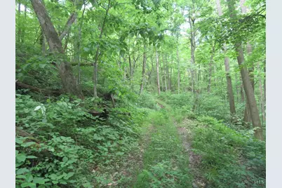 24650 US Route 52, Stout, OH 45684 - Photo 52
