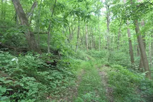 24650 US Route 52, Stout, OH 45684 - Photo 52