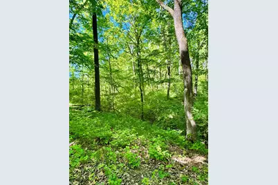 0 Kentucky Avenue, West Harrison, IN 47060 - Photo 6