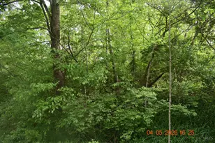 0 Schlitz Dr, Perry Township, OH 45118 - Photo 1