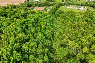 2996 Millville Shandon Rd, Morgan Township, OH 45013 - Photo 58