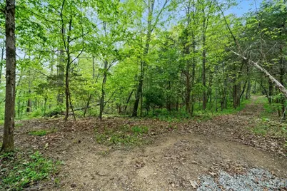 1393 Dutch Thomas Road, Peebles, OH 45660 - Photo 48