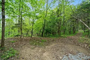 1393 Dutch Thomas Rd, Peebles, OH 45660 - Photo 48