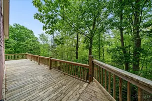 1393 Dutch Thomas Rd, Peebles, OH 45660 - Photo 36