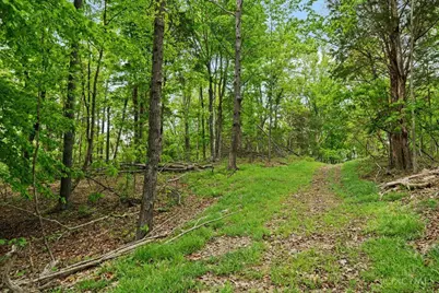1393 Dutch Thomas Road, Peebles, OH 45660 - Photo 44