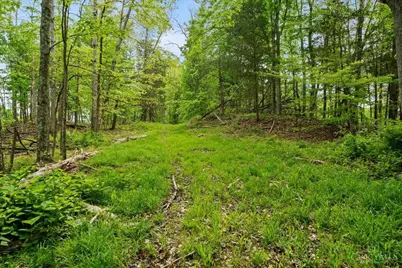 1393 Dutch Thomas Road, Peebles, OH 45660 - Photo 46